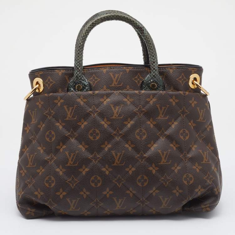 Pre Owned Louis Vuitton Monogram Canvas Limited Edition Etoile Exotique MM Bag