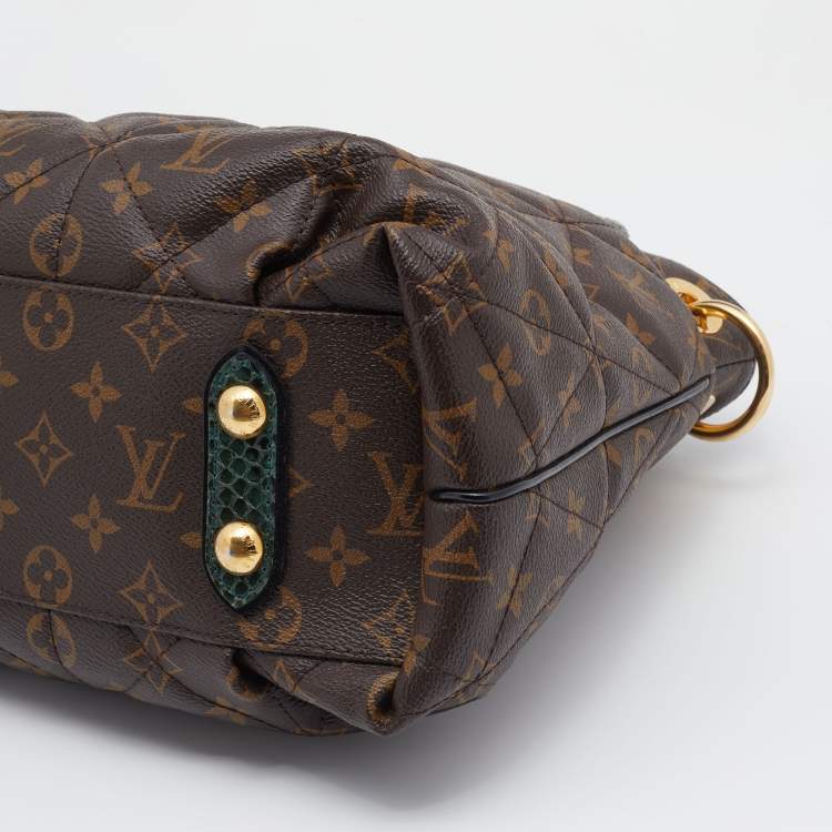 Pre Owned Louis Vuitton Monogram Canvas Limited Edition Etoile Exotique MM Bag