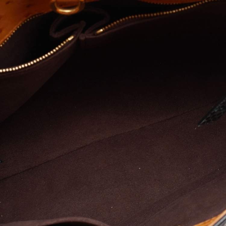 Pre Owned Louis Vuitton Monogram Canvas Limited Edition Etoile Exotique MM Bag