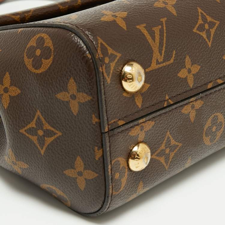 مملوكة مسبقًا Louis Vuitton Monogram Canvas and Leather Cluny BB Bag