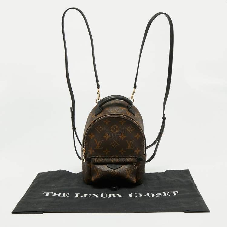 Pre Owned Louis Vuitton Monogram Canvas Mini Palm Springs Backpack