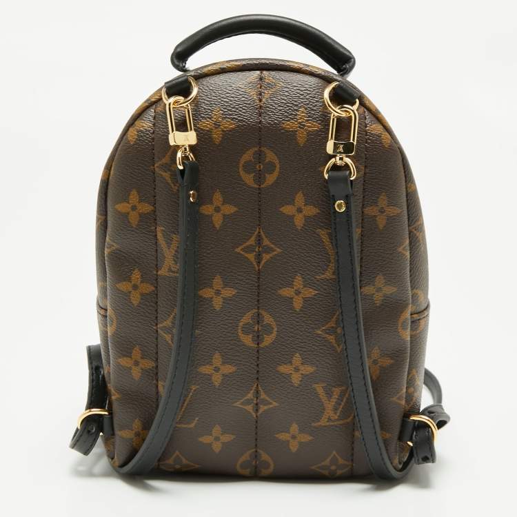 Pre Owned Louis Vuitton Monogram Canvas Mini Palm Springs Backpack