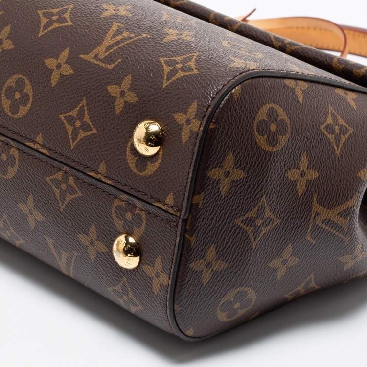 Pre Owned Louis Vuitton Monogram Canvas Cluny MM Bag