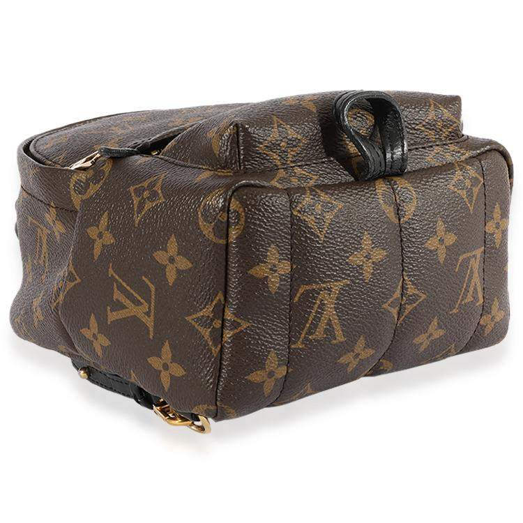 Pre Owned Louis Vuitton Monogram Canvas Palm Springs Mini Backpack
