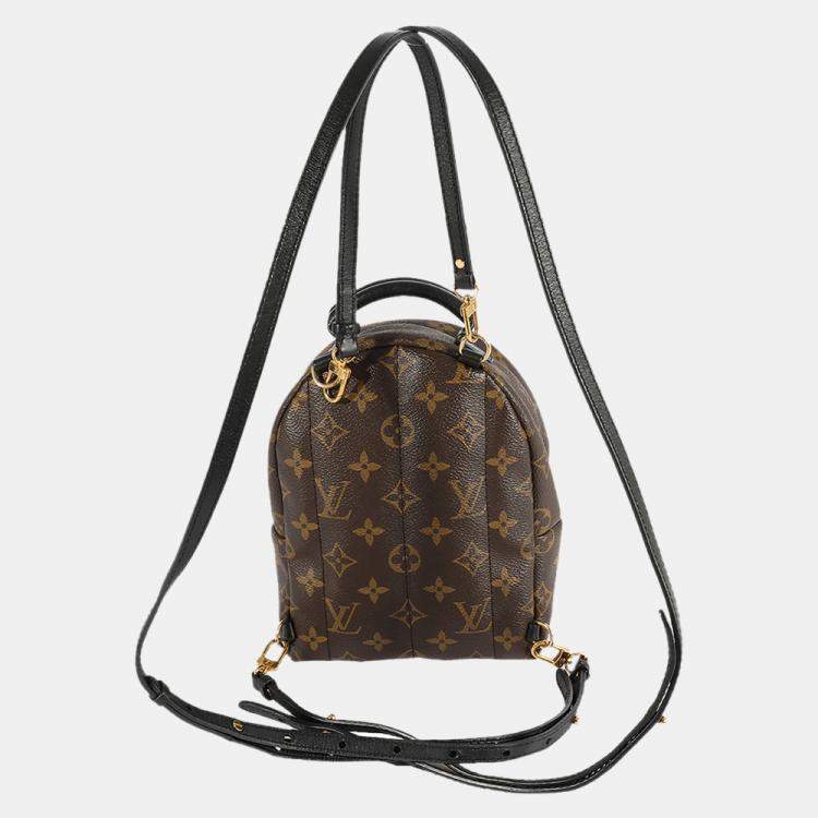 Pre Owned Louis Vuitton Monogram Canvas Palm Springs Mini Backpack
