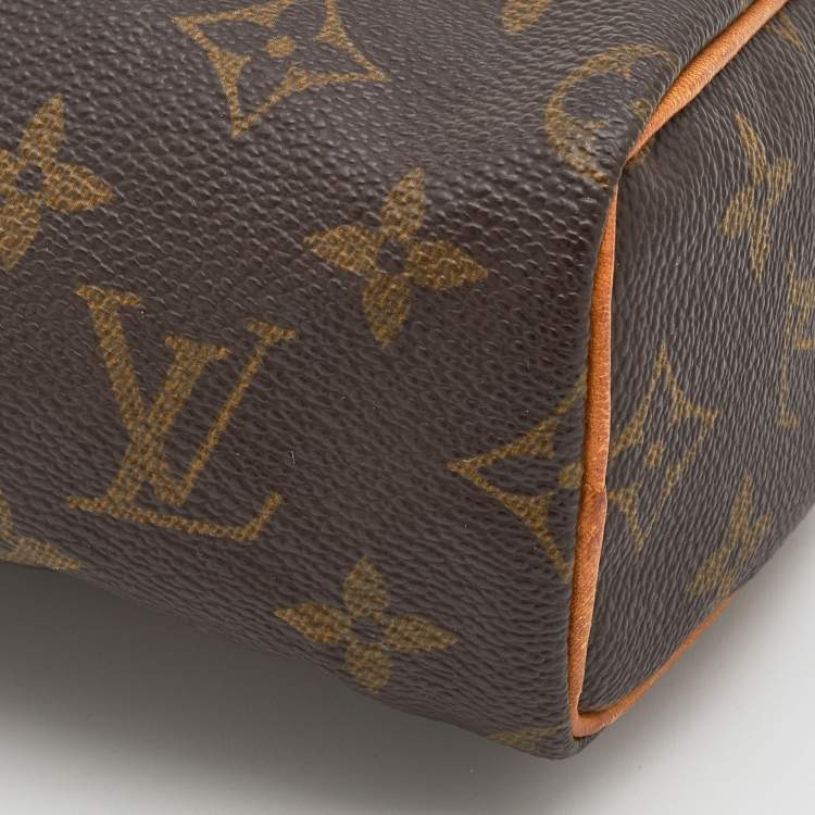 Pre Owned Louis Vuitton Monogram Canvas Speedy Nano Bag