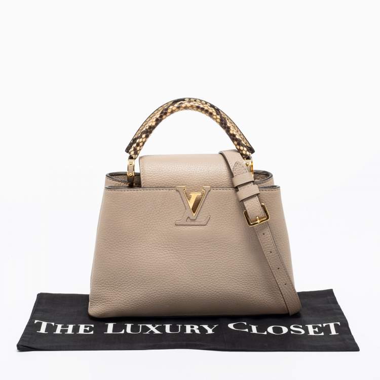 Pre Owned Louis Vuitton Galet Taurillon Leather And Python Capucines BB Bag