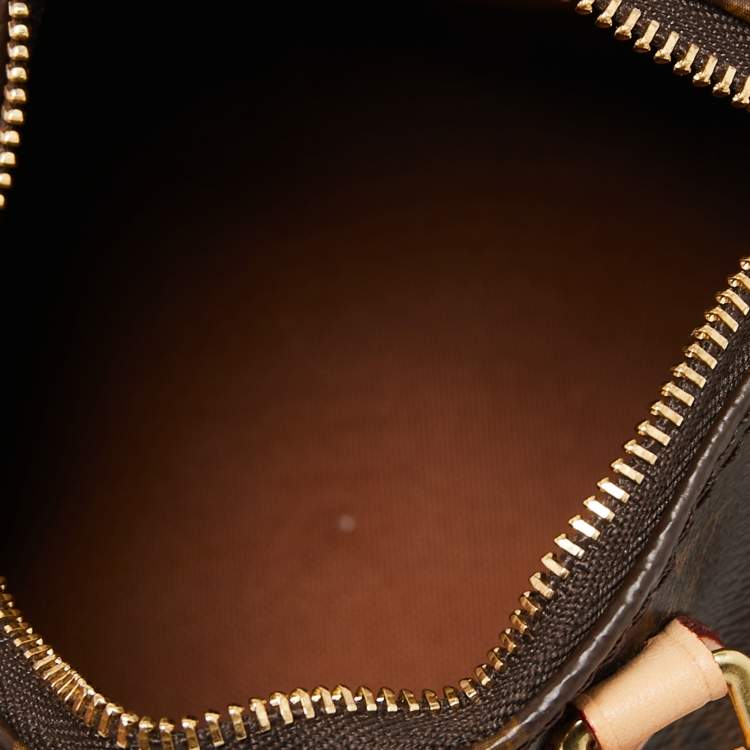 Pre Owned Louis Vuitton Monogram Canvas Speedy Nano Bag