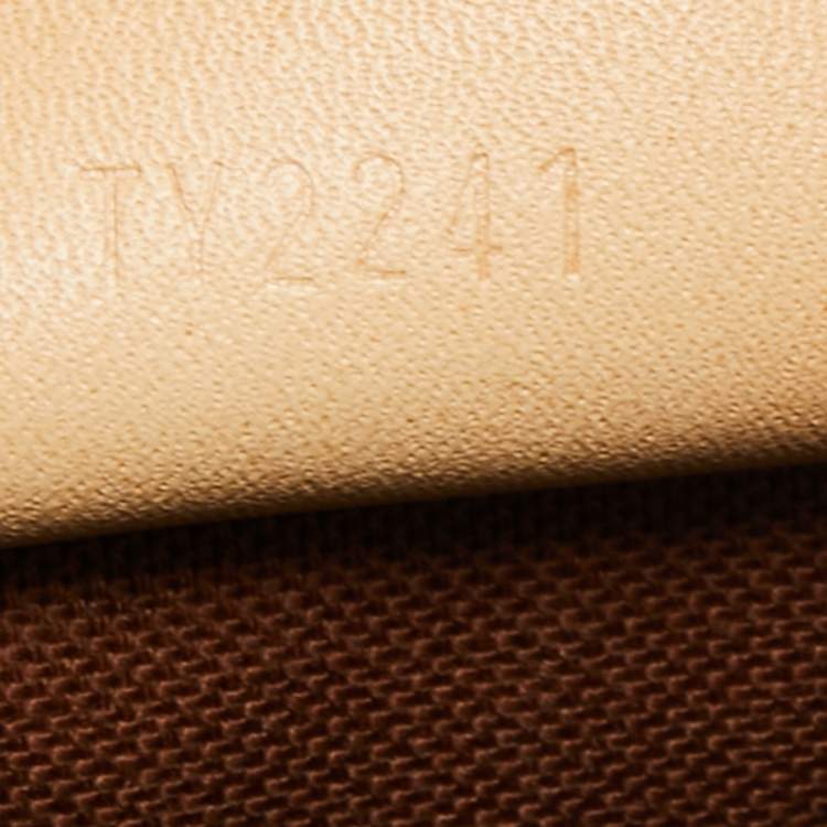Pre Owned Louis Vuitton Monogram Canvas Speedy Nano Bag