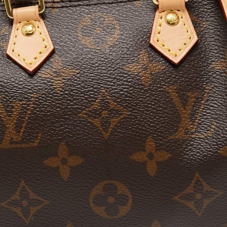 Pre Owned Louis Vuitton Monogram Canvas Speedy Nano Bag