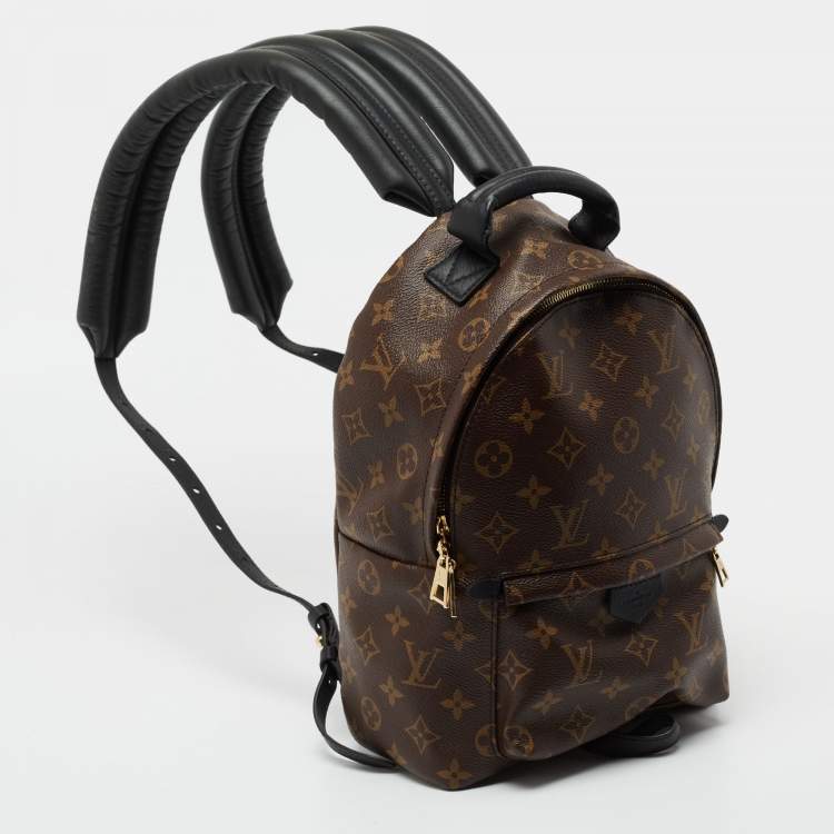 Pre Owned Louis Vuitton Monogram Canvas and Leather Palm Springs PM Backpack