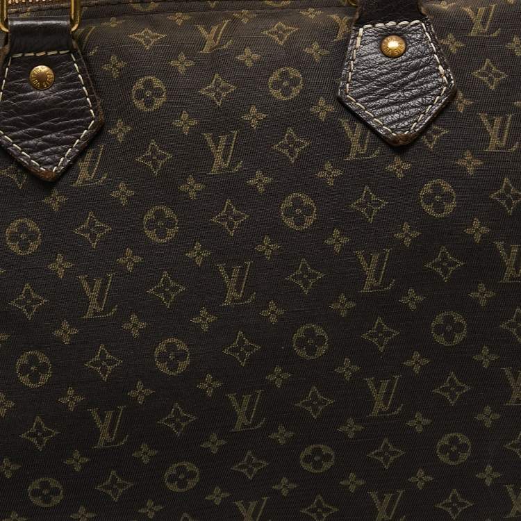 Pre Owned Louis Vuitton Fusain Monogram Mini Lin Canvas Speedy 30 Bag