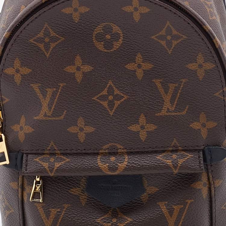 Pre Owned Louis Vuitton Brown Monogram Canvas Mini Palm Spring Bag