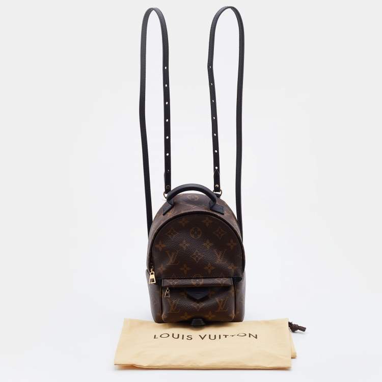 Pre Owned Louis Vuitton Brown Monogram Canvas Mini Palm Spring Bag