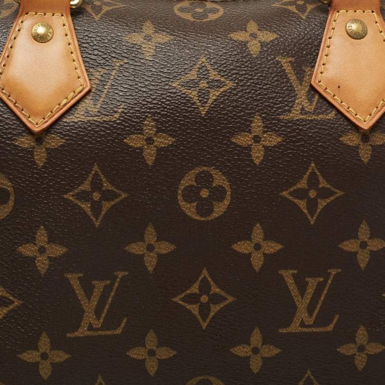 Pre Owned Louis Vuitton Monogram Canvas Speedy 30 Bag