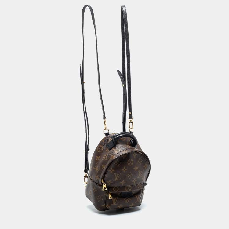 Pre Owned Louis Vuitton Monogram Canvas Mini Palm Springs Backpack