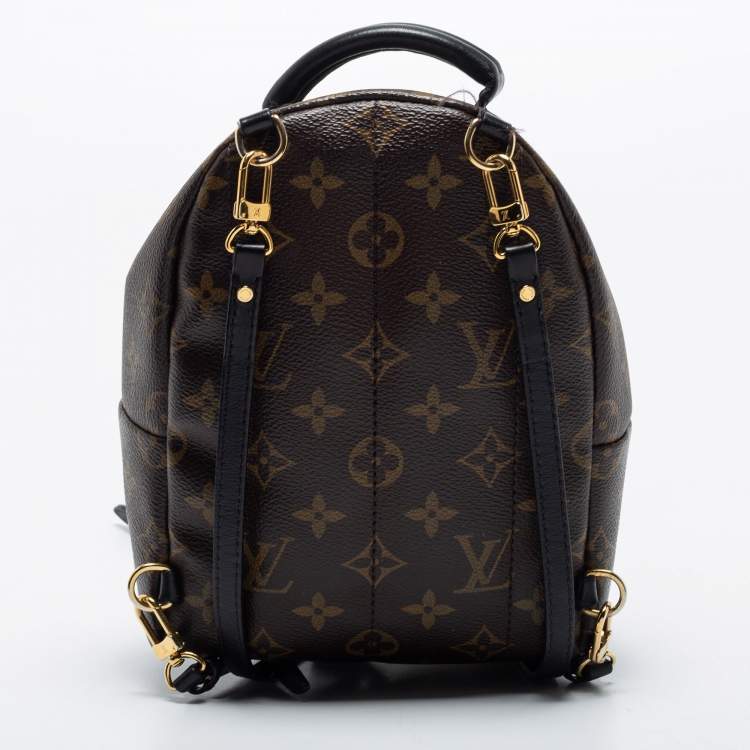 Pre Owned Louis Vuitton Monogram Canvas Mini Palm Springs Backpack