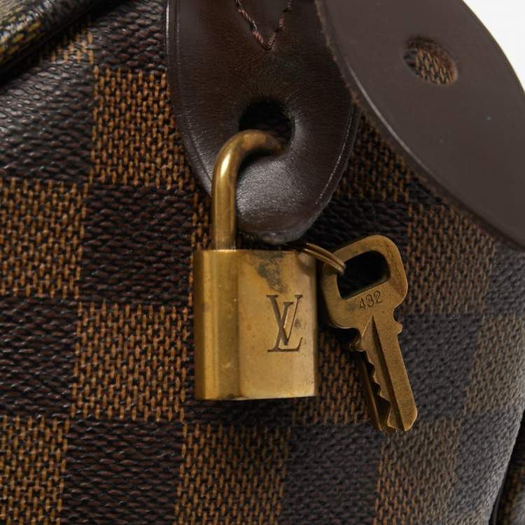 مملوكة مسبقًا Louis Vuitton Damier Ebene Canvas Speedy 25 Bag