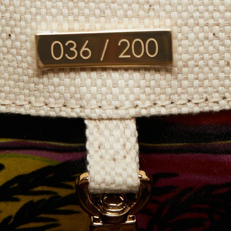 Pre Owned Louis Vuitton Multicolor Fabric and Leather Limited Edition 036/200 Artycapucines PM Bag