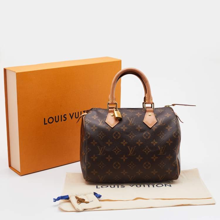 Pre Owned Louis Vuitton Monogram Canvas Speedy 25 Bag
