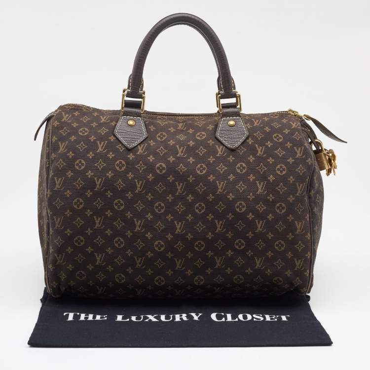 Pre Owned Louis Vuitton Fusain Monogram Mini Lin Canvas Speedy 30 Bag