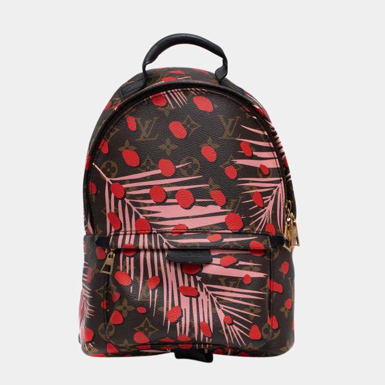 louis vuitton spring backpack