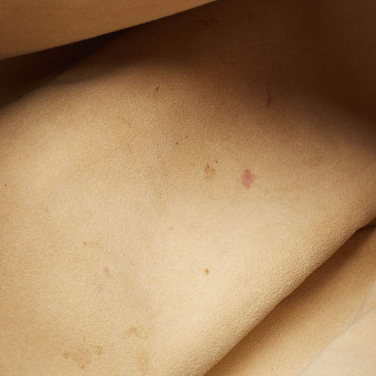 Pre Owned Louis Vuitton Monogram Canvas Etoile City GM Bag