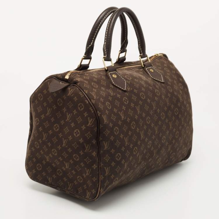 Pre Owned Louis Vuitton Fusain Monogram Mini Lin Canvas Speedy 30 Bag