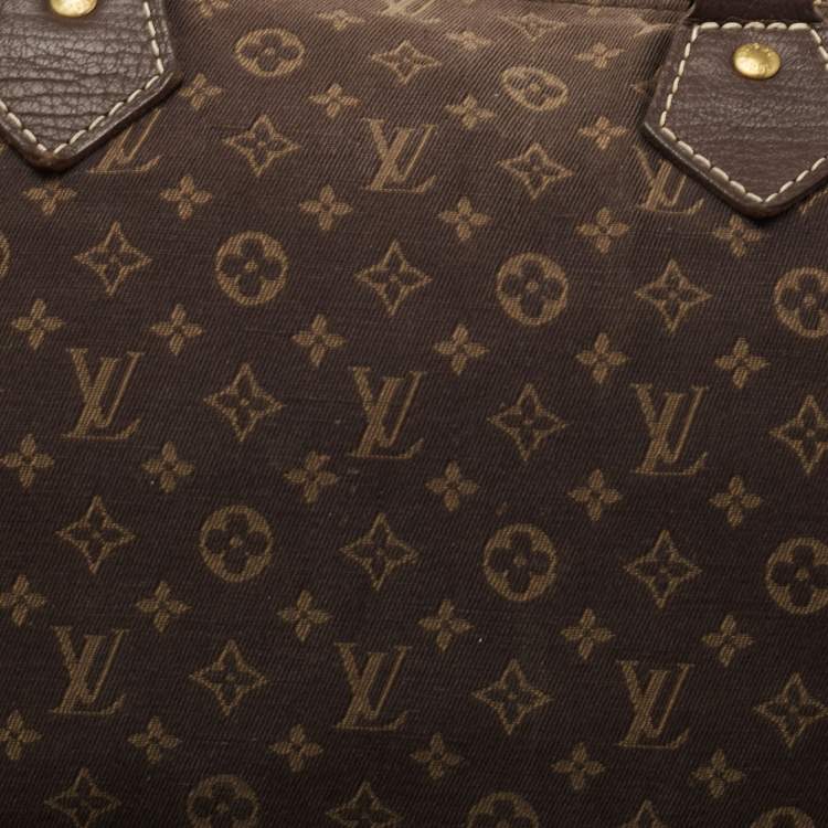 Pre Owned Louis Vuitton Fusain Monogram Mini Lin Canvas Speedy 30 Bag