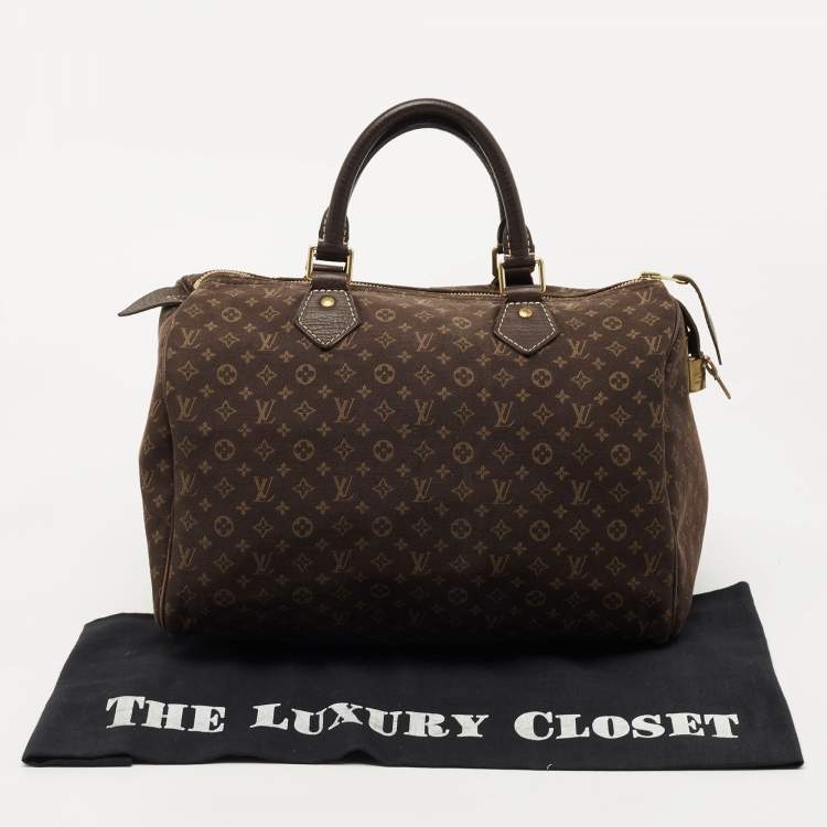 Pre Owned Louis Vuitton Fusain Monogram Mini Lin Canvas Speedy 30 Bag
