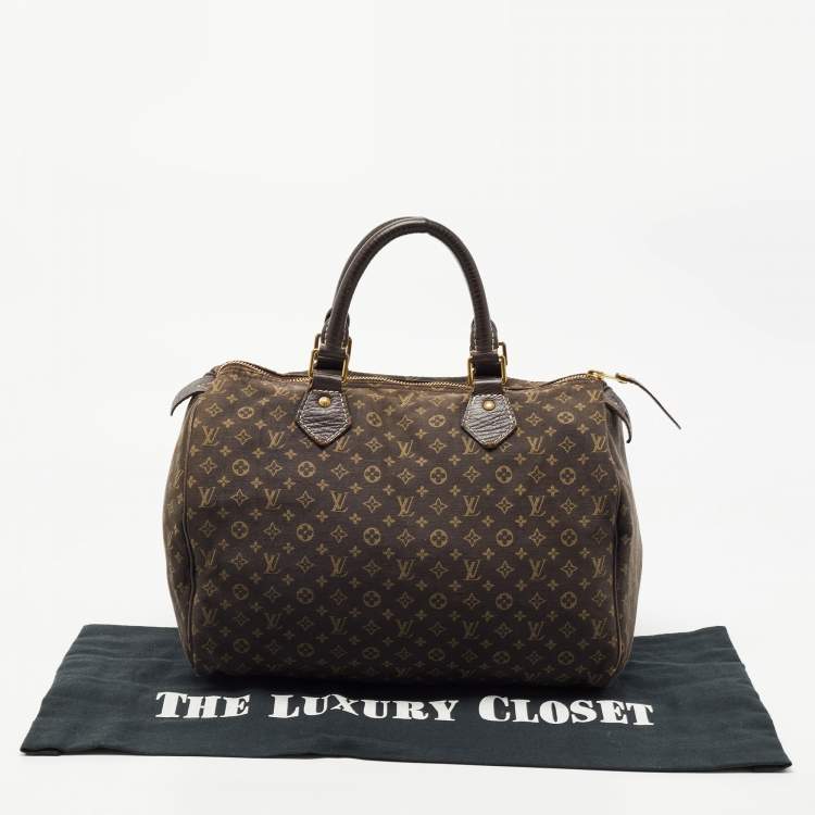 Pre Owned Louis Vuitton Monogram Canvas Mini Lin Speedy 30 Bag