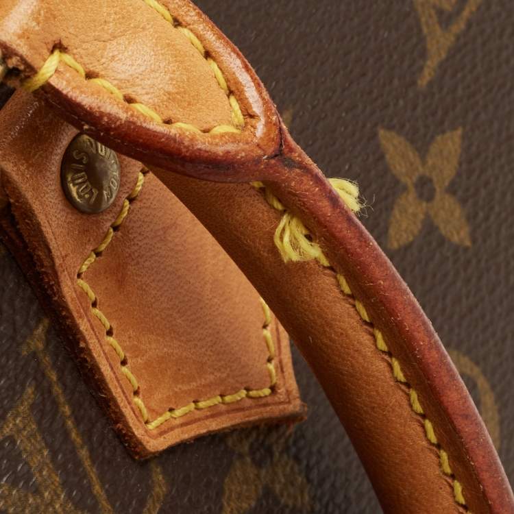Pre Owned Louis Vuitton Monogram Canvas Ellipse MM Bag