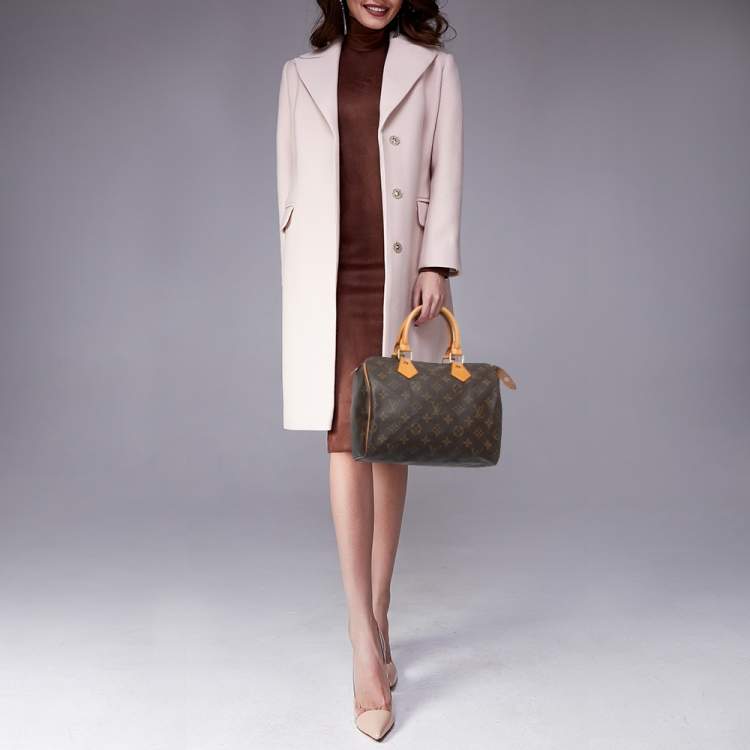 Pre Owned Louis Vuitton Monogram Canvas Speedy 25 Bag