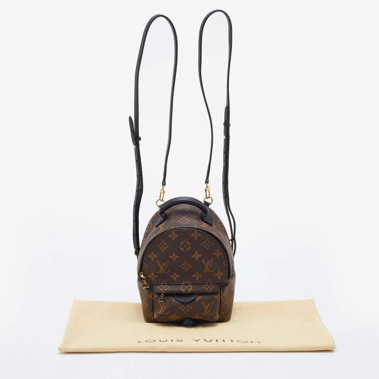 مملوكة مسبقًا Louis Vuitton Monogram Canvas Mini Palm Springs Backpack
