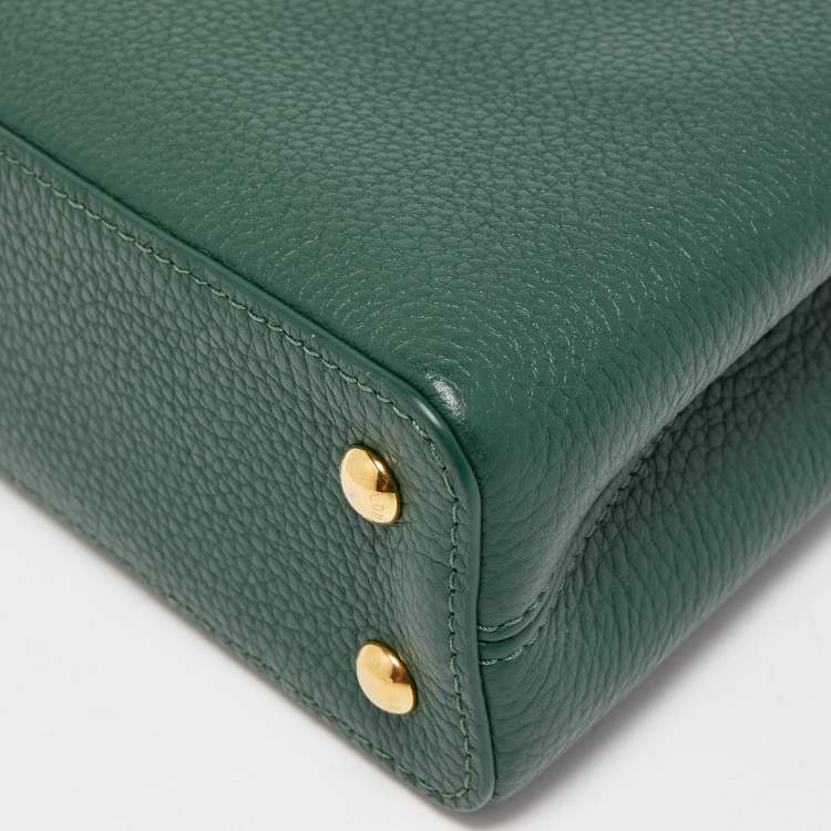 Pre Owned Louis Vuitton Green/Beige Leather and Python Capucines Mini Bag