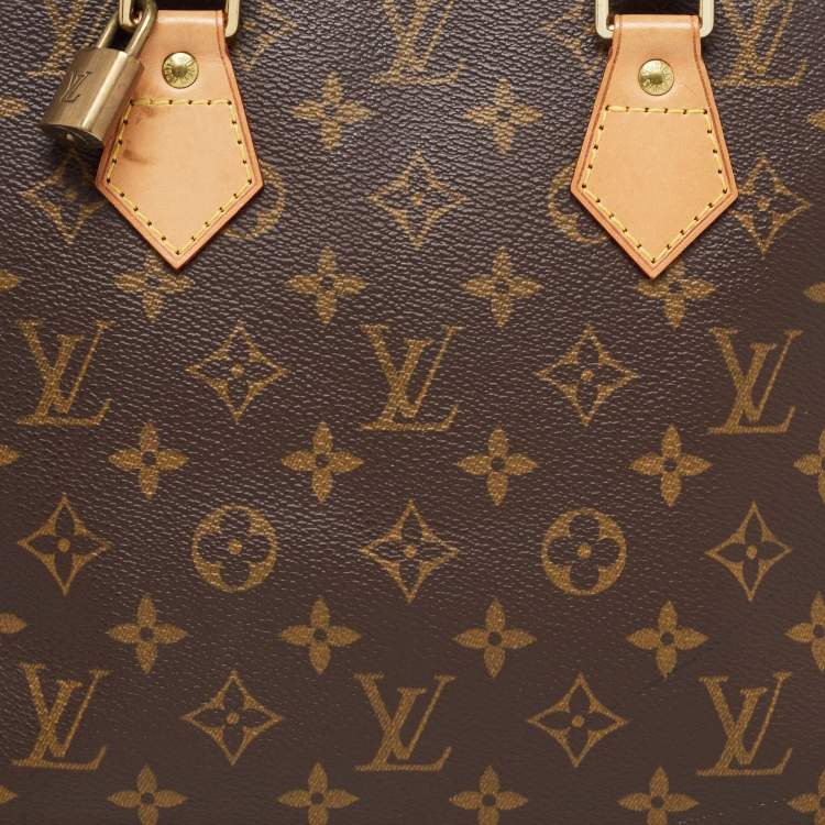 Pre Owned Louis Vuitton Monogram Canvas Alma PM Bag