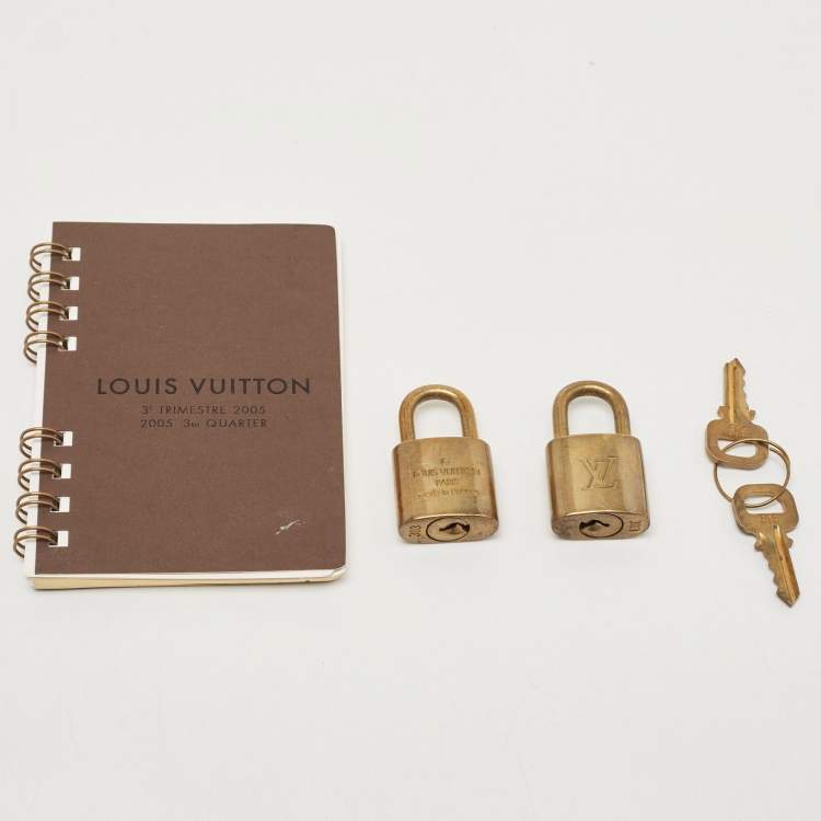 Pre Owned Louis Vuitton Monogram Canvas Garment Cover Bag