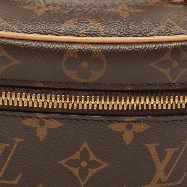 Pre Owned Louis Vuitton Monogram Canvas Nice Nano Bag