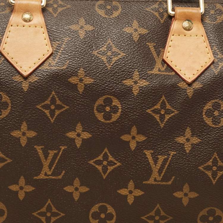 Pre Owned Louis Vuitton Monogram Canvas Speedy 30 Bag