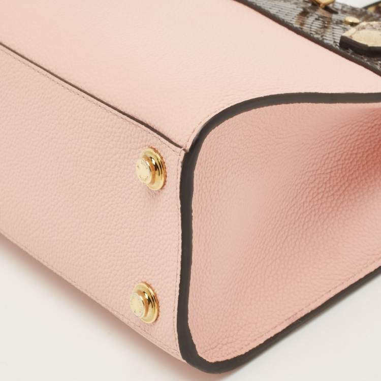 Pre Owned Louis Vuitton Pink/Cream Taurillon Leather and Python City Steamer Mini Bag