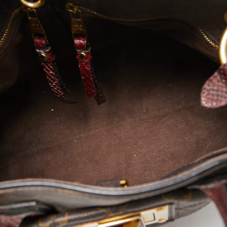 Pre Owned Louis Vuitton Monogram Canvas and Python Limited Edition Etoile Exotique MM Bag