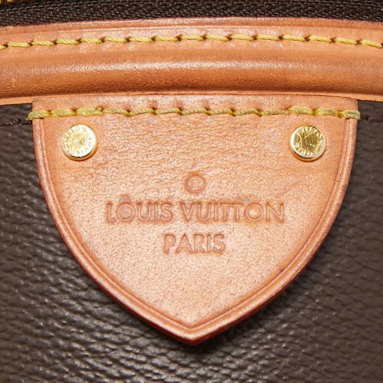 Pre Owned Louis Vuitton Monogram Giant Canvas Cannes Bag