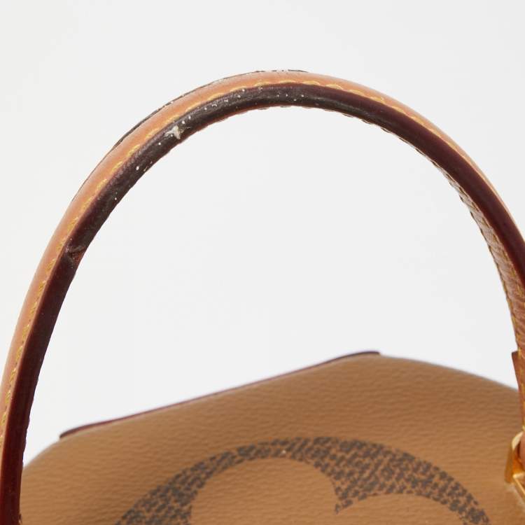 Pre Owned Louis Vuitton Monogram Giant Canvas Cannes Bag