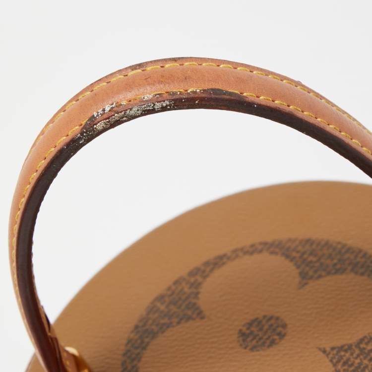 Pre Owned Louis Vuitton Monogram Giant Canvas Cannes Bag