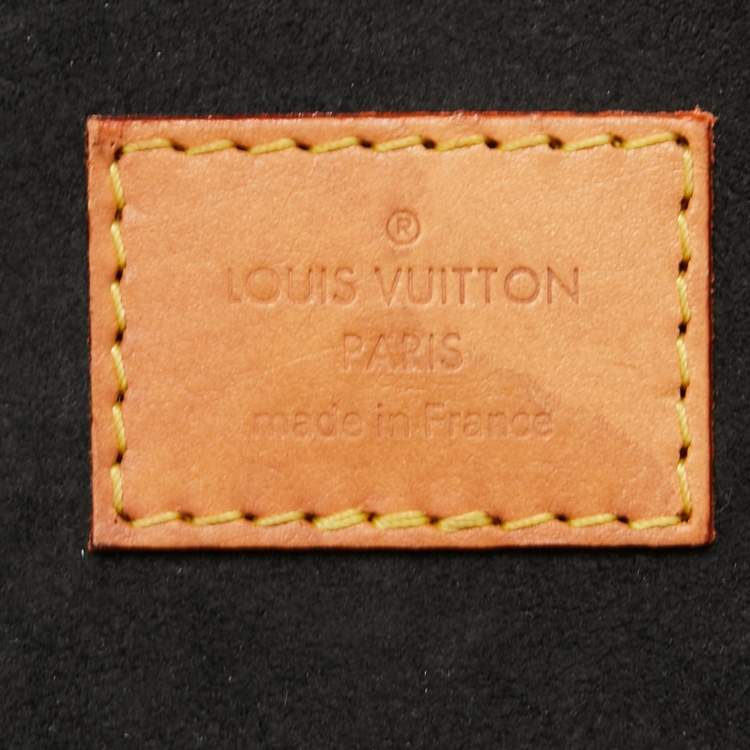 Pre Owned Louis Vuitton Monogram Giant Canvas Cannes Bag