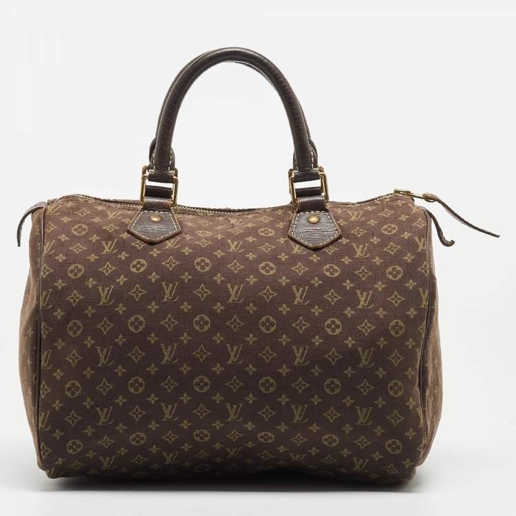 Pre Owned Louis Vuitton Fusain Monogram Mini Lin Canvas Speedy 30 Bag