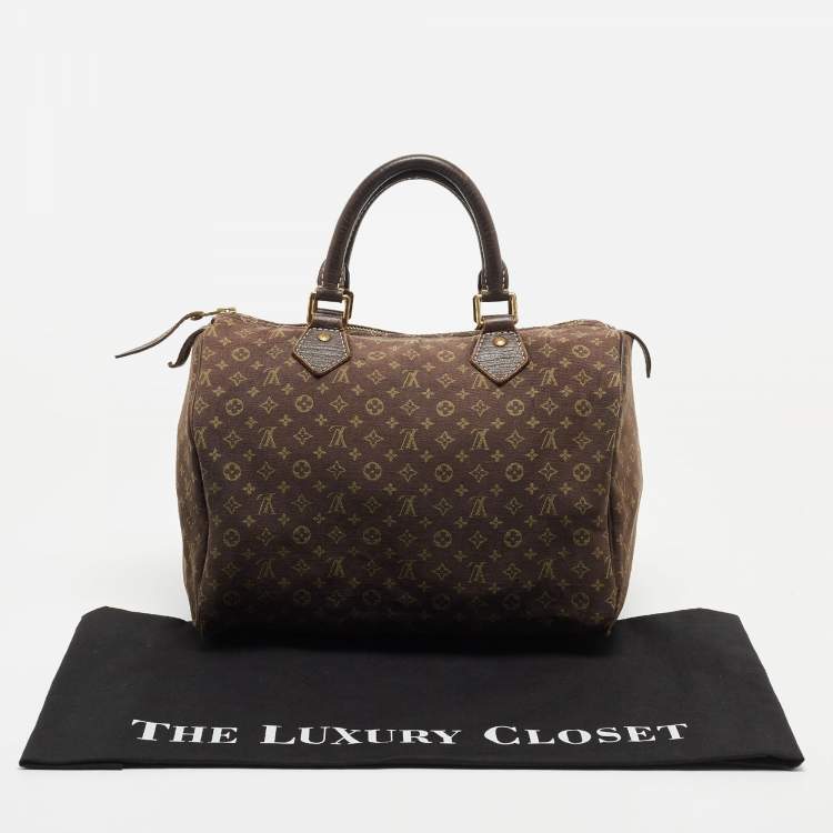 Pre Owned Louis Vuitton Fusain Monogram Mini Lin Canvas Speedy 30 Bag