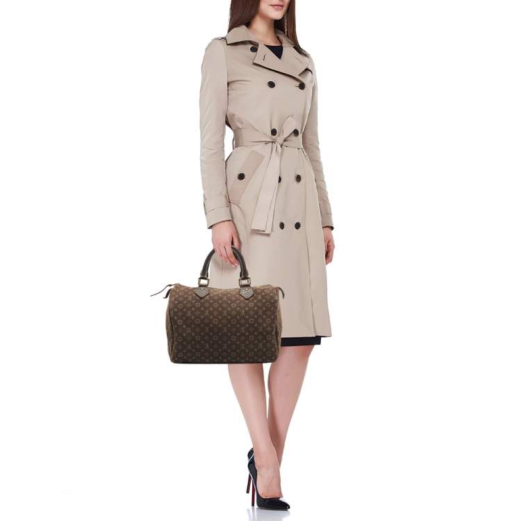 Pre Owned Louis Vuitton Fusain Monogram Mini Lin Canvas Speedy 30 Bag