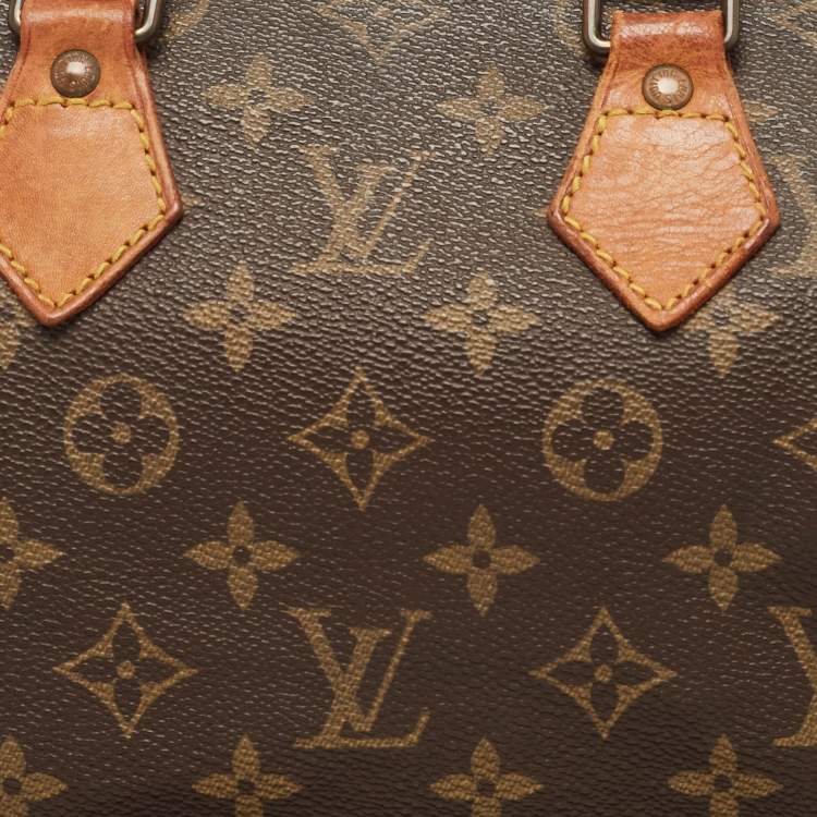 Pre Owned Louis Vuitton Monogram Canvas Speedy 25 Bag