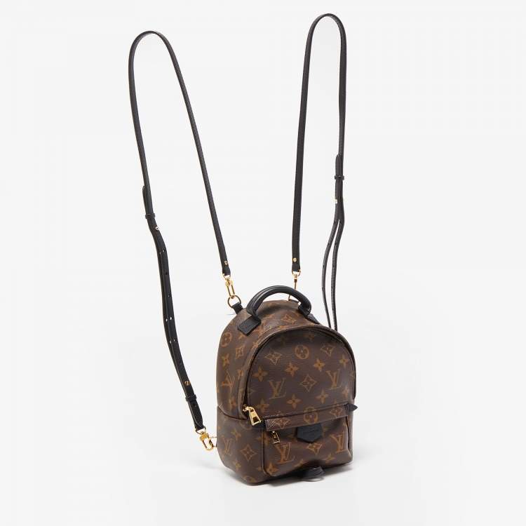 Pre Owned Louis Vuitton Monogram Canvas Palm Springs Mini Backpack